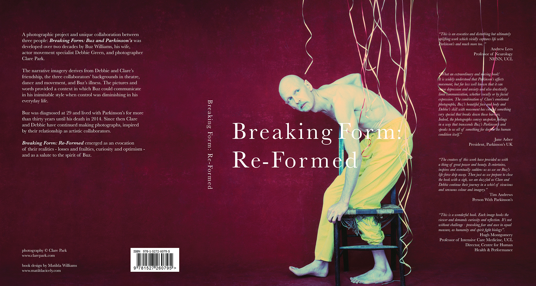 Breaking Form Book Cover