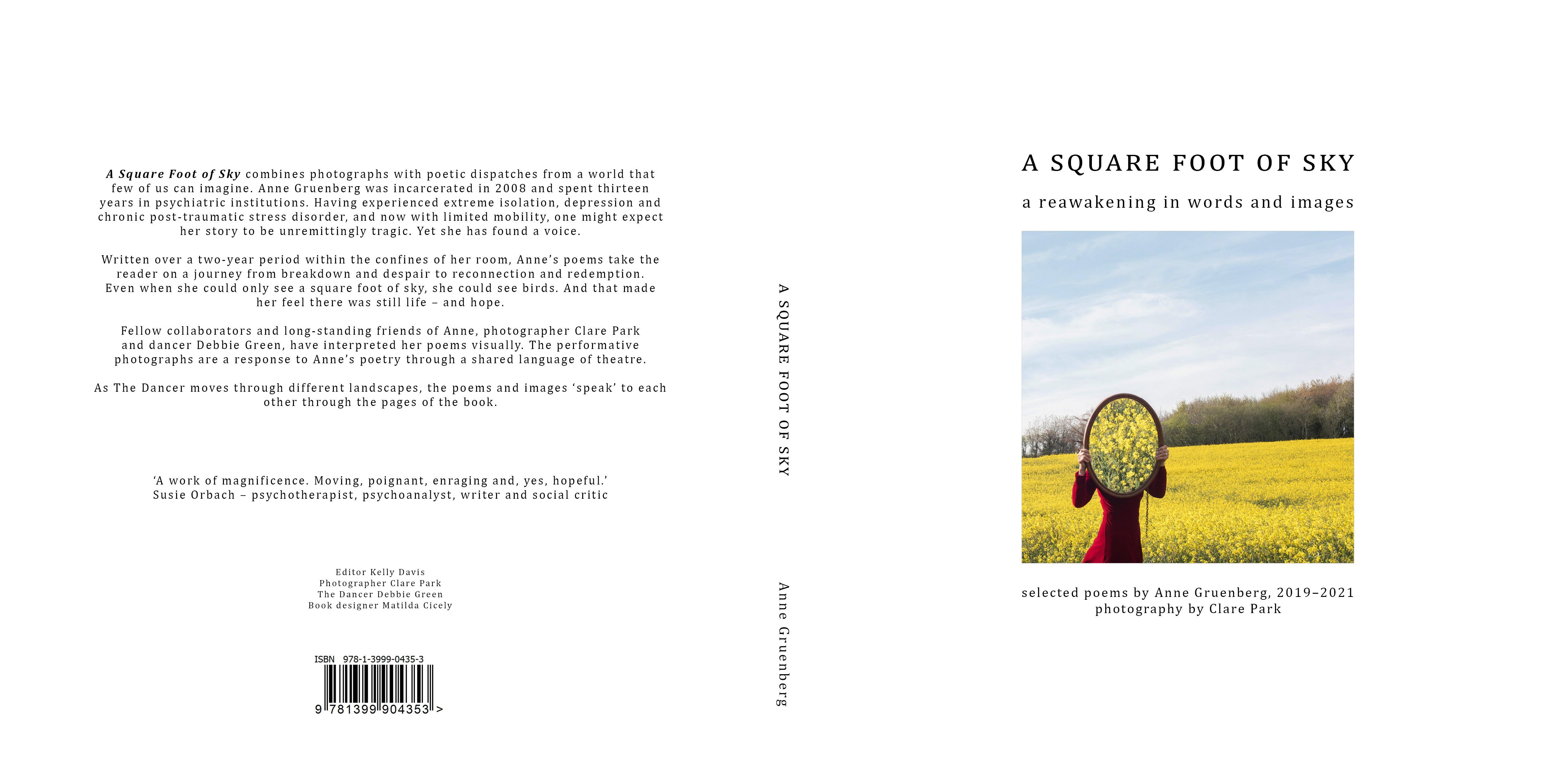 Square Foot of Sky Book Cover